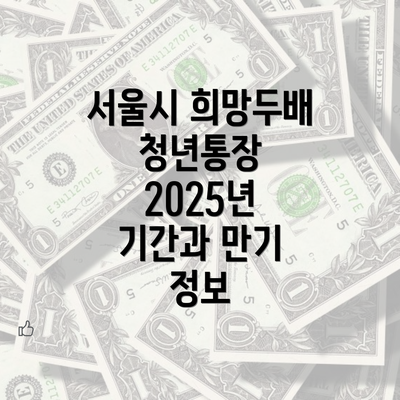 서울시 희망두배 청년통장 2025년 기간과 만기 정보