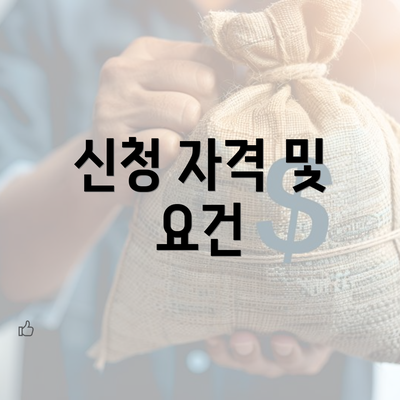 신청 자격 및 요건