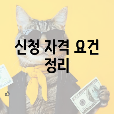 신청 자격 요건 정리