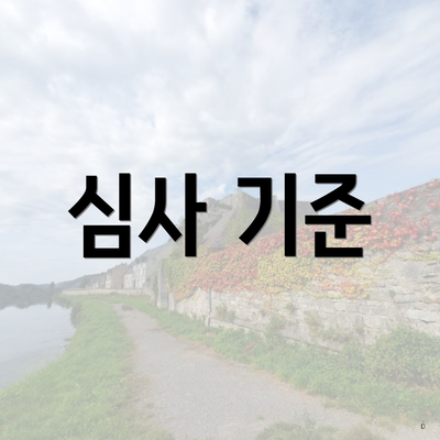 심사 기준