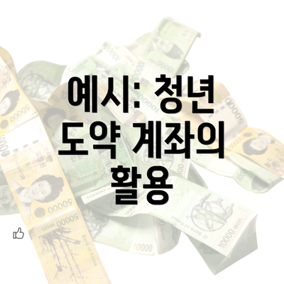 예시: 청년 도약 계좌의 활용