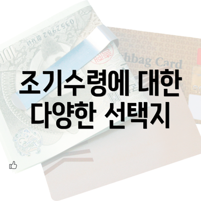 조기수령에 대한 다양한 선택지