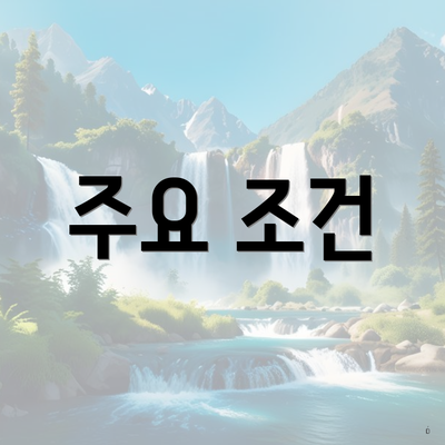 주요 조건