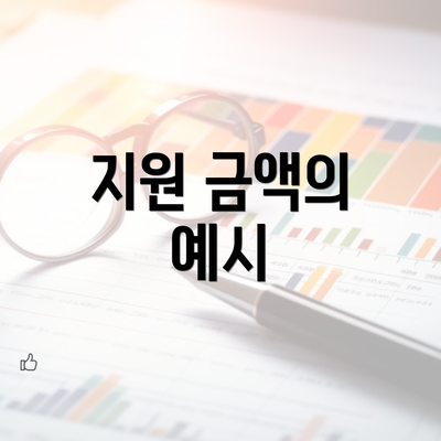 지원 금액의 예시