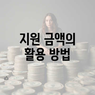 지원 금액의 활용 방법