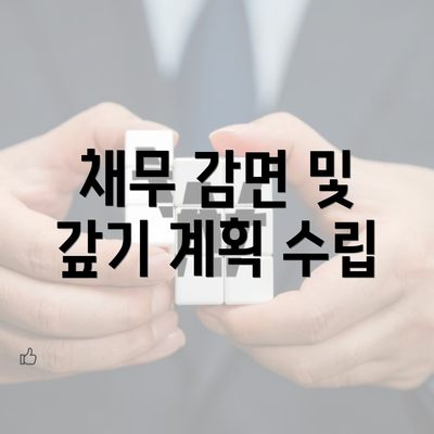 채무 감면 및 갚기 계획 수립