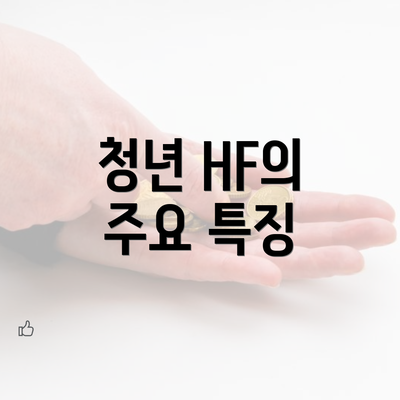 청년 HF의 주요 특징