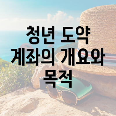 청년 도약 계좌의 개요와 목적