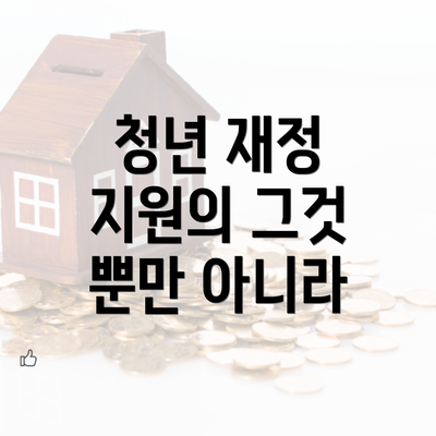 청년 재정 지원의 그것 뿐만 아니라