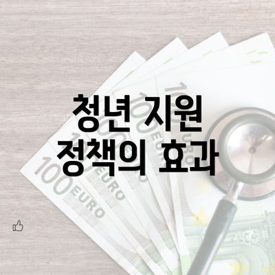 청년 지원 정책의 효과