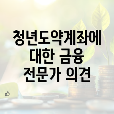 청년도약계좌에 대한 금융 전문가 의견