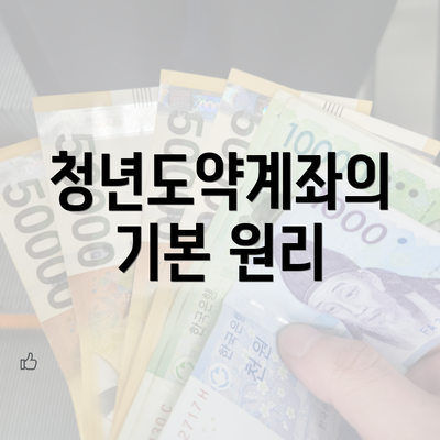 청년도약계좌의 기본 원리