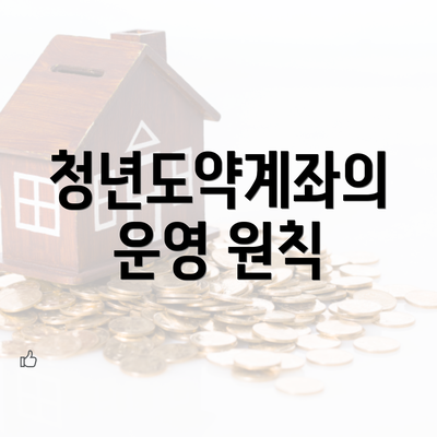 청년도약계좌의 운영 원칙