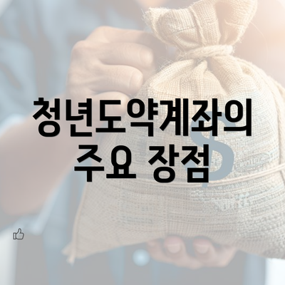 청년도약계좌의 주요 장점