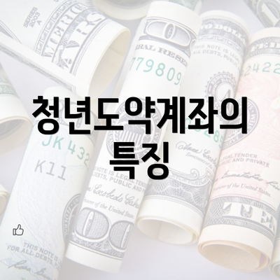 청년도약계좌의 특징