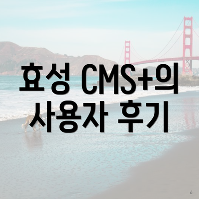 효성 CMS+의 사용자 후기