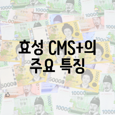 효성 CMS+의 주요 특징