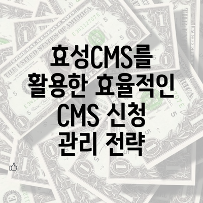 효성CMS를 활용한 효율적인 CMS 신청 관리 전략