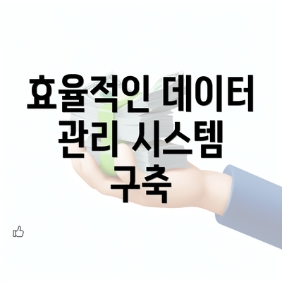 효율적인 데이터 관리 시스템 구축