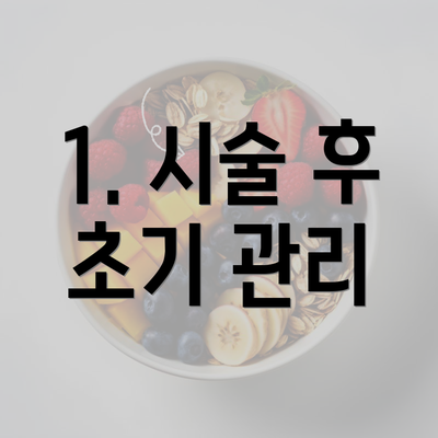 1. 시술 후 초기 관리