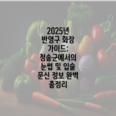 2025년 반영구 화장 가이드: 청송군에서의 눈썹 및 입술 문신 정보 완벽 총정리