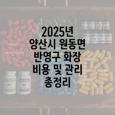 2025년 양산시 원동면 반영구 화장 비용 및 관리 총정리