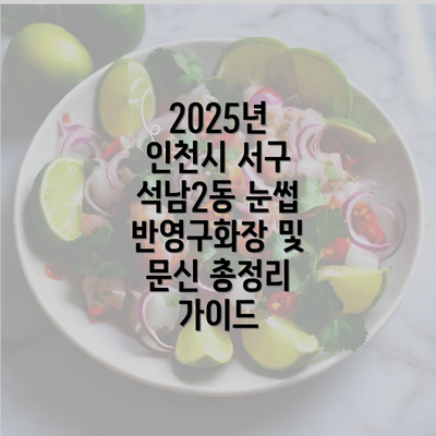 2025년 인천시 서구 석남2동 눈썹 반영구화장 및 문신 총정리 가이드