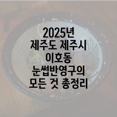 2025년 제주도 제주시 이호동 눈썹반영구의 모든 것 총정리