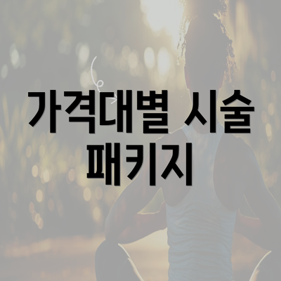 가격대별 시술 패키지