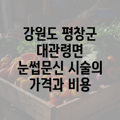 강원도 평창군 대관령면 눈썹문신 시술의 가격과 비용