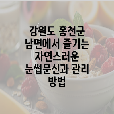 강원도 홍천군 남면에서 즐기는 자연스러운 눈썹문신과 관리 방법