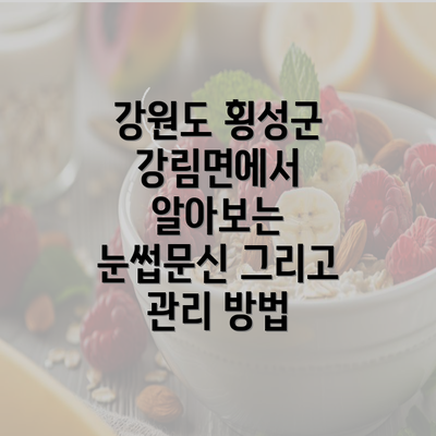 강원도 횡성군 강림면에서 알아보는 눈썹문신 그리고 관리 방법