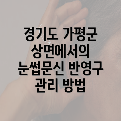 경기도 가평군 상면에서의 눈썹문신 반영구 관리 방법