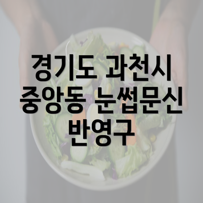 경기도 과천시 중앙동 눈썹문신 반영구