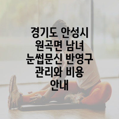 경기도 안성시 원곡면 남녀 눈썹문신 반영구 관리와 비용 안내