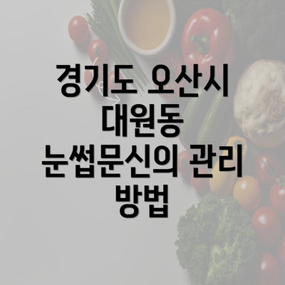 경기도 오산시 대원동 눈썹문신의 관리 방법