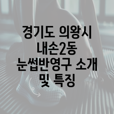 경기도 의왕시 내손2동 눈썹반영구 소개 및 특징