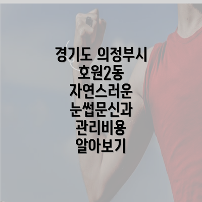 경기도 의정부시 호원2동 자연스러운 눈썹문신과 관리비용 알아보기