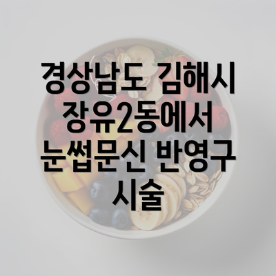 경상남도 김해시 장유2동에서 눈썹문신 반영구 시술