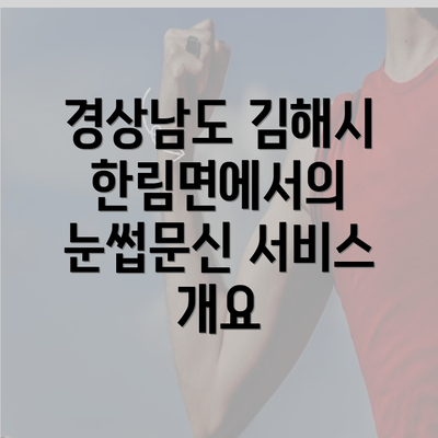 경상남도 김해시 한림면에서의 눈썹문신 서비스 개요