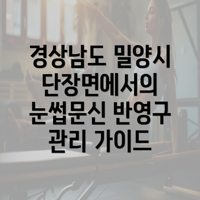 경상남도 밀양시 단장면에서의 눈썹문신 반영구 관리 가이드