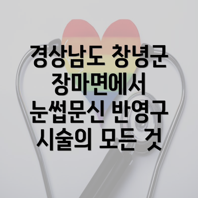 경상남도 창녕군 장마면에서 눈썹문신 반영구 시술의 모든 것