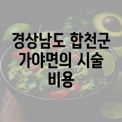 경상남도 합천군 가야면의 시술 비용