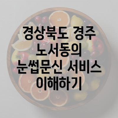 경상북도 경주 노서동의 눈썹문신 서비스 이해하기