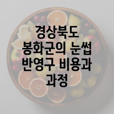 경상북도 봉화군의 눈썹 반영구 비용과 과정