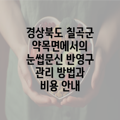 경상북도 칠곡군 약목면에서의 눈썹문신 반영구 관리 방법과 비용 안내