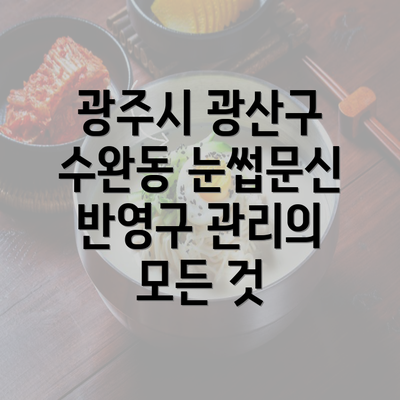 광주시 광산구 수완동 눈썹문신 반영구 관리의 모든 것