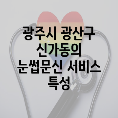 광주시 광산구 신가동의 눈썹문신 서비스 특성