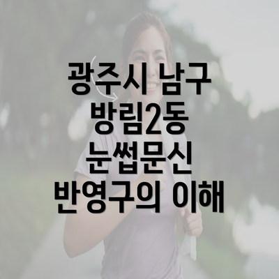 광주시 남구 방림2동 눈썹문신 반영구의 이해