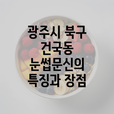 광주시 북구 건국동 눈썹문신의 특징과 장점